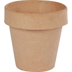 Lot de 10 pots de fleurs en carton hauteur 10 cm