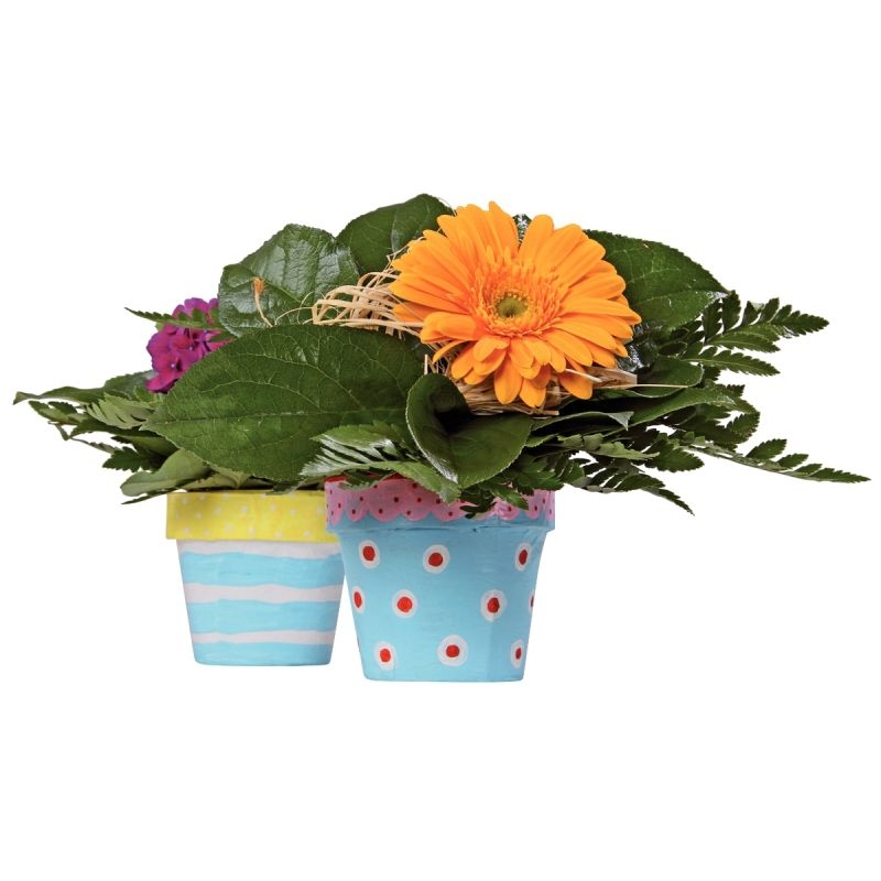 Lot de 10 pots de fleurs en carton hauteur 10 cm