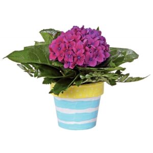 Lot de 10 pots de fleurs en carton hauteur 10 cm