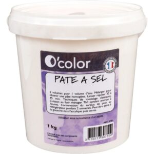 Seau 1 kg de pâte à sel